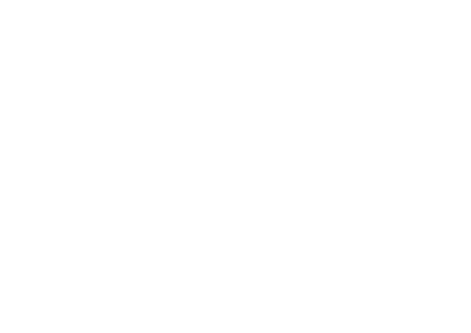 STE Latinoamérica